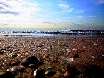 Scenic view of beach against sky