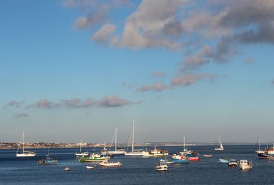 Sailboats moored in harbor against sky