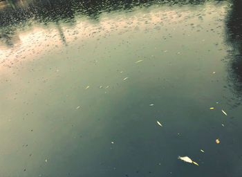 Full frame shot of raindrops on water