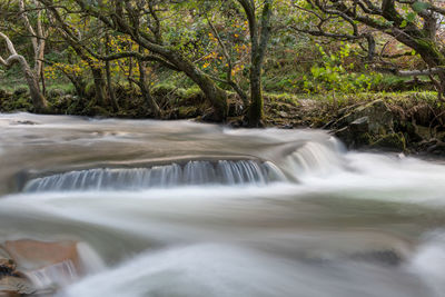 Long exposure of the river heddon flowing through the woods at heddons mouh in exmoor