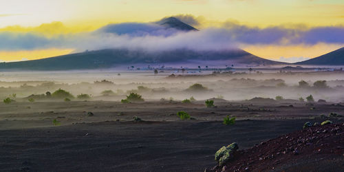 Spain, canary islands, montana mina at foggy dusk