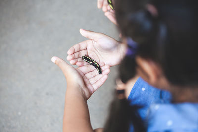 Close-up of girl holding insect at home
