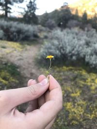 Close-up of hand holding red flower