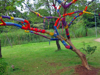 Multi colored hanging on tree