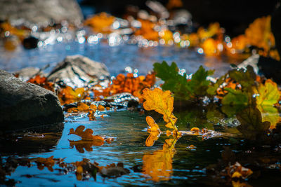 Close-up of rocks in lake