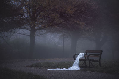 Empty eerie bench in park