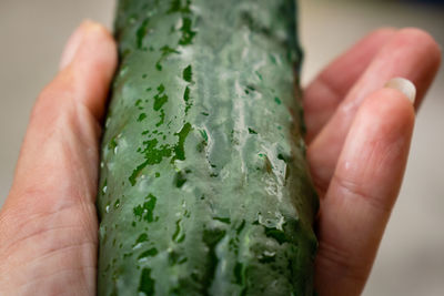 Close-up of hand holding leaf