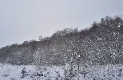 Scenic view of snow field against clear sky