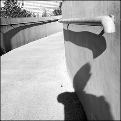 Shadow of man on skateboard on footpath