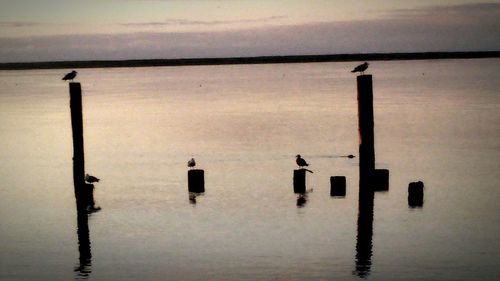 View of pier in sea at sunset