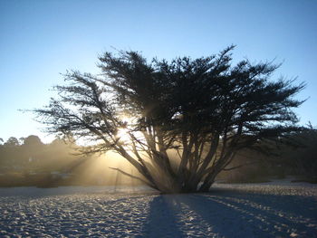 Scenic view of landscape against sky during sunset
