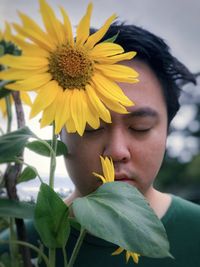 Close-up of sunflower