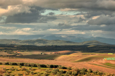 Scenic view of landscape against sky