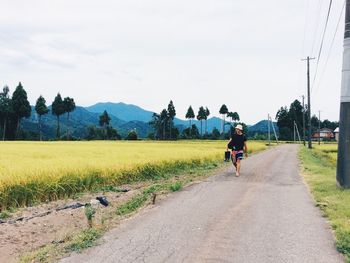 Rear view of man riding bicycle on dirt road