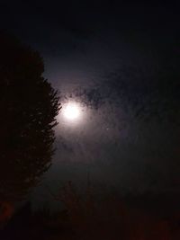 Low angle view of trees against sky at night