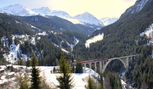 Panoramic shot of trees and mountains against sky