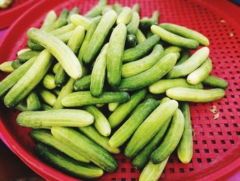 High angle view of vegetables in container
