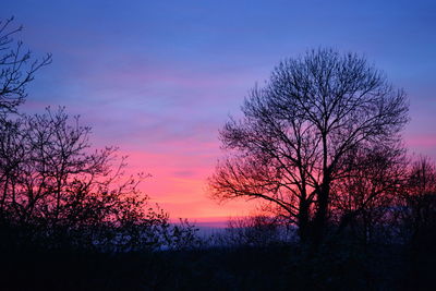 Silhouette tree against sky during sunset