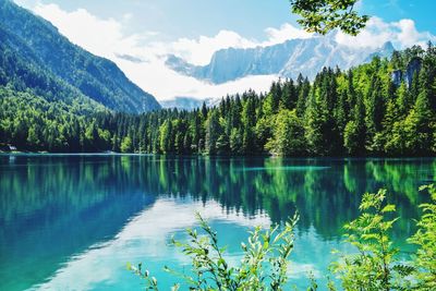 Scenic view of lake by trees against sky