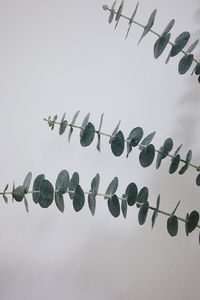 Row of decoration hanging against clear sky