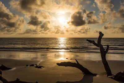 Silhouette birds on beach against sky during sunset