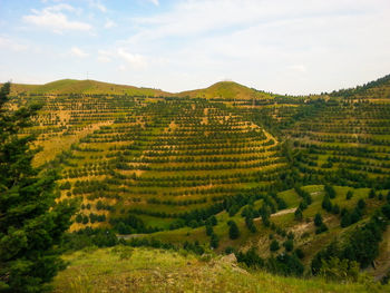 Scenic view of rural landscape