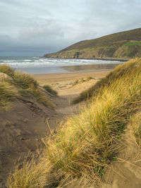 Scenic view of beach against sky