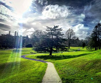 Footpath amidst trees on field against sky