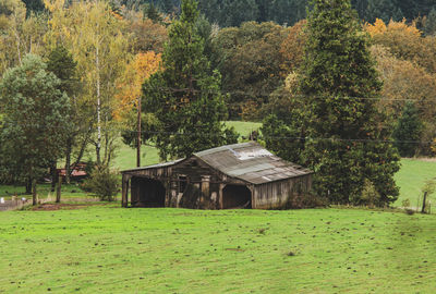 Abandoned old farm building in green rolling hills with colorful fall trees in background.