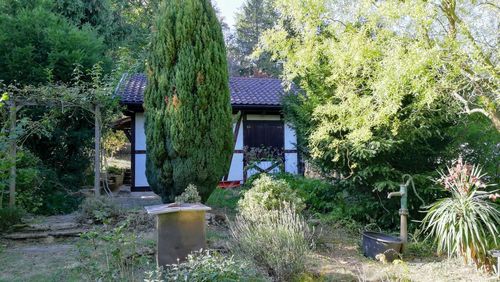 Trees and plants growing in garden