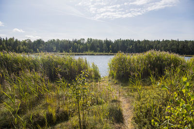 Scenic view of lake against sky