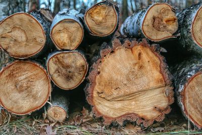 Stack of logs