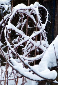 Close-up of frozen snow