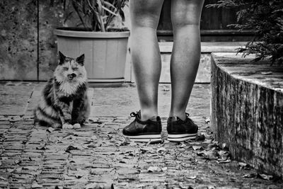 Low section of person with dog standing on cobblestone street