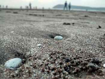 Surface level of pebbles on beach