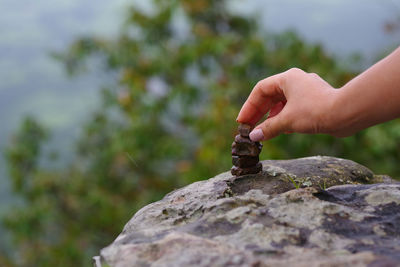Cropped hand of woman stacking rocks in forest