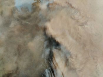 Full frame shot of cat