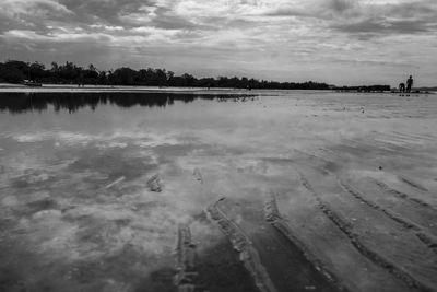 Swans swimming in lake against sky