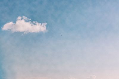 Low angle view of bird flying in sky