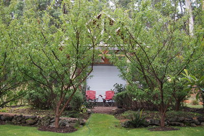 View of trees and plants