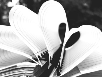 Close-up of open book