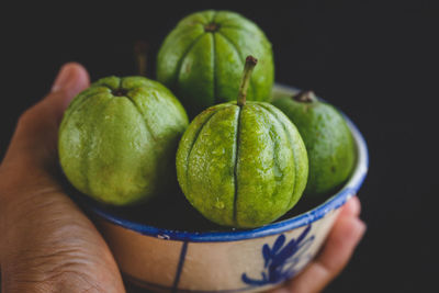 Cropped hand of person holding bowl with wet guavas against black background