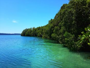 Scenic view of sea against blue sky