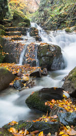 Stream flowing through rocks