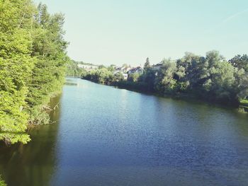 Scenic view of river in forest against clear sky