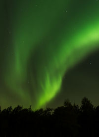 Low angle view of silhouette trees against sky at night