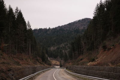 A road with bumpers through the forest