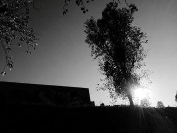 Low angle view of silhouette tree against sky