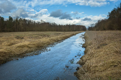 A calm river and dry grasses on the banks, forest and clouds