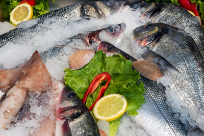 Fish for sale in market